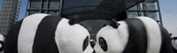 WWF отпраздновал юбилей с пандами