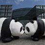 WWF отпраздновал юбилей с пандами