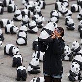 WWF отпраздновал юбилей с пандами
