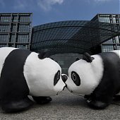 WWF отпраздновал юбилей с пандами
