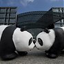 WWF отпраздновал юбилей с пандами