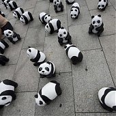 WWF отпраздновал юбилей с пандами