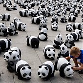 WWF отпраздновал юбилей с пандами