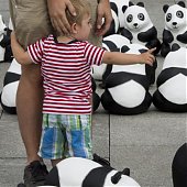 WWF отпраздновал юбилей с пандами