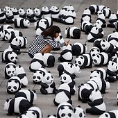 WWF отпраздновал юбилей с пандами
