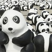 WWF отпраздновал юбилей с пандами