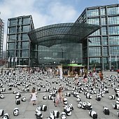 WWF отпраздновал юбилей с пандами