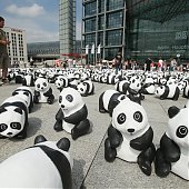 WWF отпраздновал юбилей с пандами