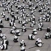 WWF отпраздновал юбилей с пандами