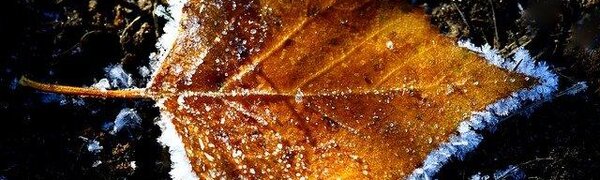 Непростые по погоде ожидаются выходные дни в Приморье и Владивостоке