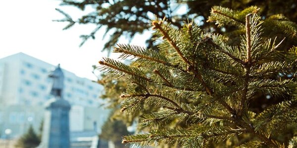 Синоптики опубликовали прогноз погоды на следующую рабочую неделю в Приморье и Владивостоке