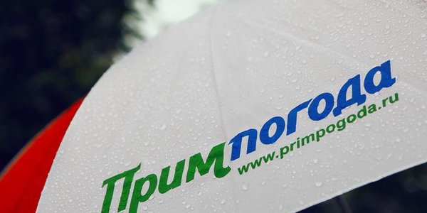 На выходных погода в Приморье будет пасмурной