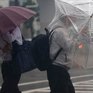 6 человек погибли в Японии из-за ливней