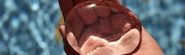 В водопроводной воде Арсеньева завелись личинки