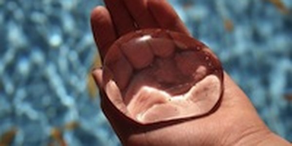 В водопроводной воде Арсеньева завелись личинки
