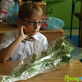 Солнечное 1 сентября — удачное начало школьной жизни