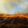Окутавший Владивосток дым от лесных пожаров развеет южный ветер