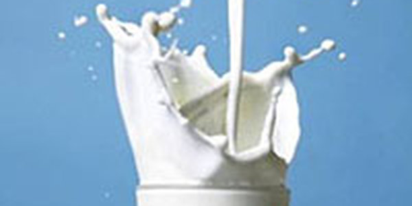 Российское молоко скоро может исчезнуть с прилавков