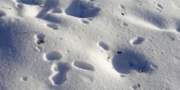Снег в Приморье: подходящие места для лыжных прогулок