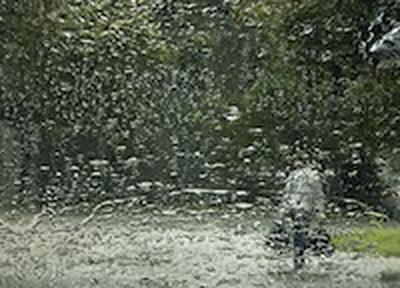 Сегодня в Приморье дождливо