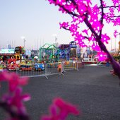 Новый год во Владивостоке: конкурсы, концертная программа и фейерверк