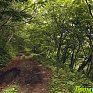 Лето вне города: остров Аскольд (ФОТО)