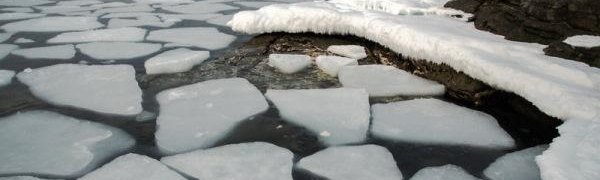 Из-за сильного ветра в заливах Приморья ожидается отрыв и подвижка льда 