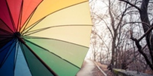 Зима прощается с Владивостоком дождем и весенним туманом