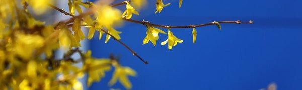 Летнее тепло идёт в Приморье: в континентальных районах потеплеет до +23 °C