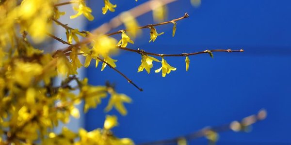 Летнее тепло идёт в Приморье: в континентальных районах потеплеет до +23 °C