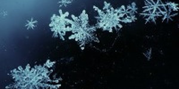 Несколько суток идет снег на побережье Хабаровского края