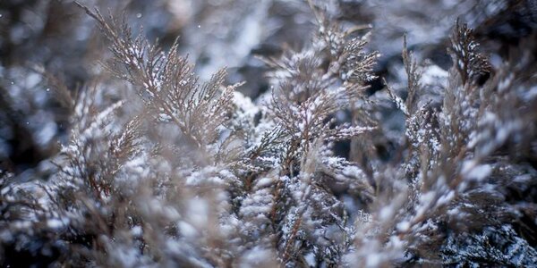 Ближайшей ночью в Приморье станет ещё морознее