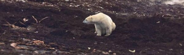 11 тысяч учёных и экологов заявили о чрезвычайной ситуации с климатом на Земле