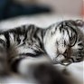Назван день, когда люди лучше всего высыпаются