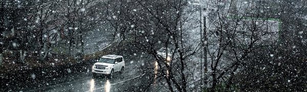 Дождь, снег, ветер и холод ждут жителей Приморья на выходных 