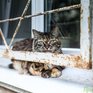 Погода во Владивостоке: в выходные придут холода