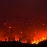 Рослесхоз оценил ущерб от пожаров в этом году в 7 млрд рублей