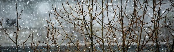 Снег с дождем пройдет в Приморье в выходные дни