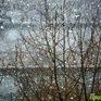Снег с дождем пройдет в Приморье в выходные дни