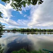 Июнь в Сихотэ-Алинском заповеднике – цветочное царство