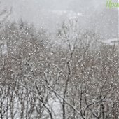 Вчера во Владивостоке выпало 4 мм осадков