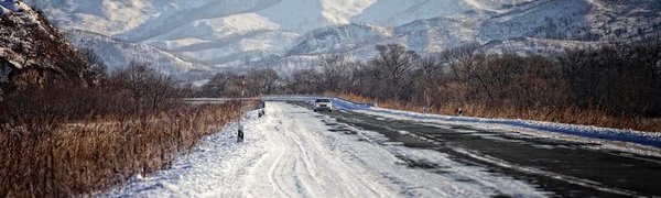 Приморский край стал одним из лучших российских регионов по экологическому отдыху