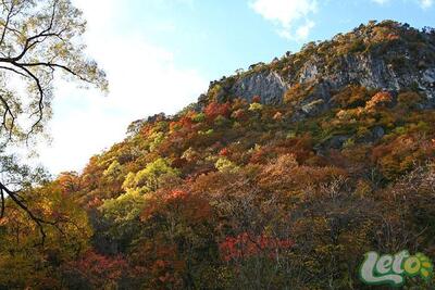 Стало известно, какая погода ожидает Приморье и Владивосток в начале следующей недели