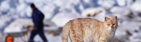 После морозной ночи в пятницу Приморье ожидает весеннее потепление