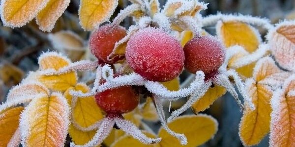 Синоптики рассказали, где сегодня на Дальнем Востоке может выпасть снег