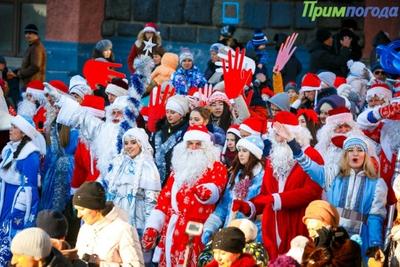 Во Владивостоке впервые прошло шествие Дедов Морозов