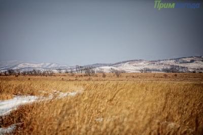 Ночью Приморье накроет холодный фронт