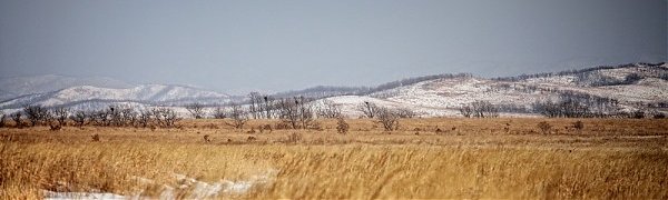 Ночью Приморье накроет холодный фронт