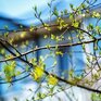 Атмосферный фронт принес тепло в Приморье