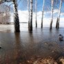 Подъем воды весеннего половодья продолжается на реках бассейна Уссури